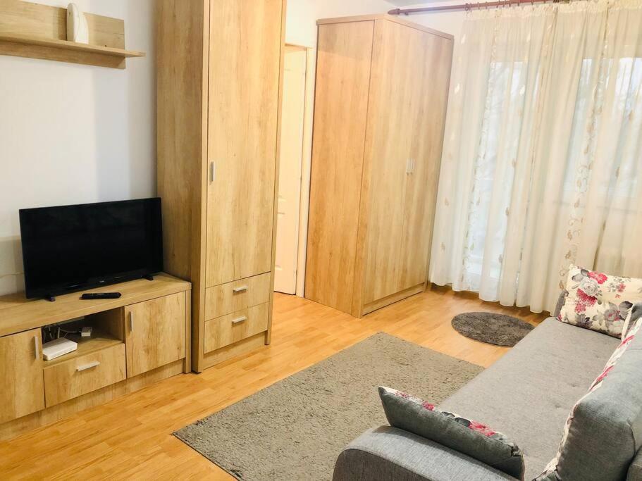 Nice Apt Near Spitalul Judetean, All You Need Lr14 Temesvár Kültér fotó